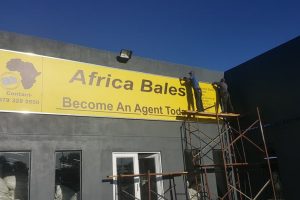 23755781_702694486596315_7037294658420700563_n