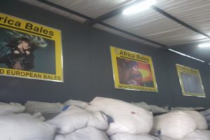 23795376_702694346596329_8207860907568858617_n